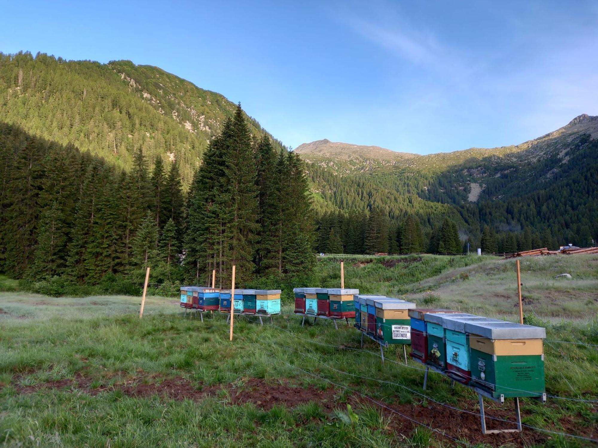 Вілла Agritur Ca' De Mel Fiave Екстер'єр фото